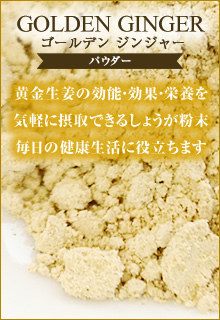 鹿児島大隅半島産熟成黄金生姜使用 Golden Ginger ゴールデンジンジャーパウダー